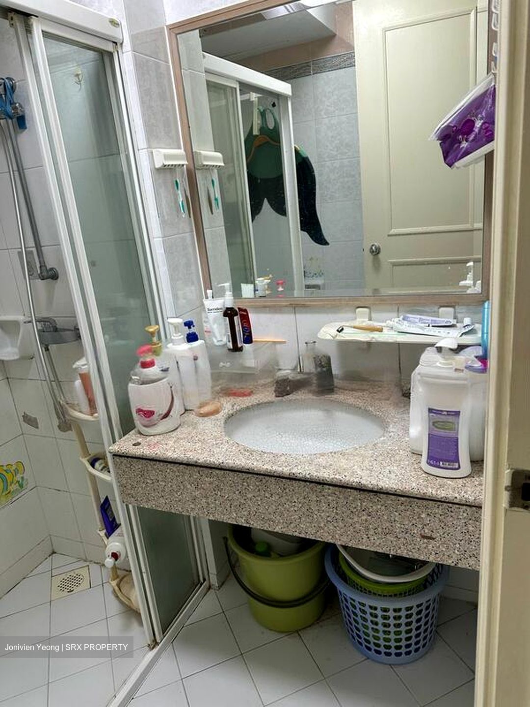 Oleander Towers (D12), Apartment #453556511